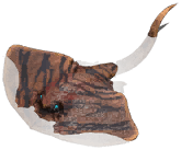 Fantomsugár.png