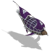 Lord Accipiter1.png