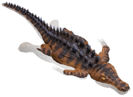 Pengefogú Marador.png