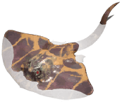 Vérsugár.png